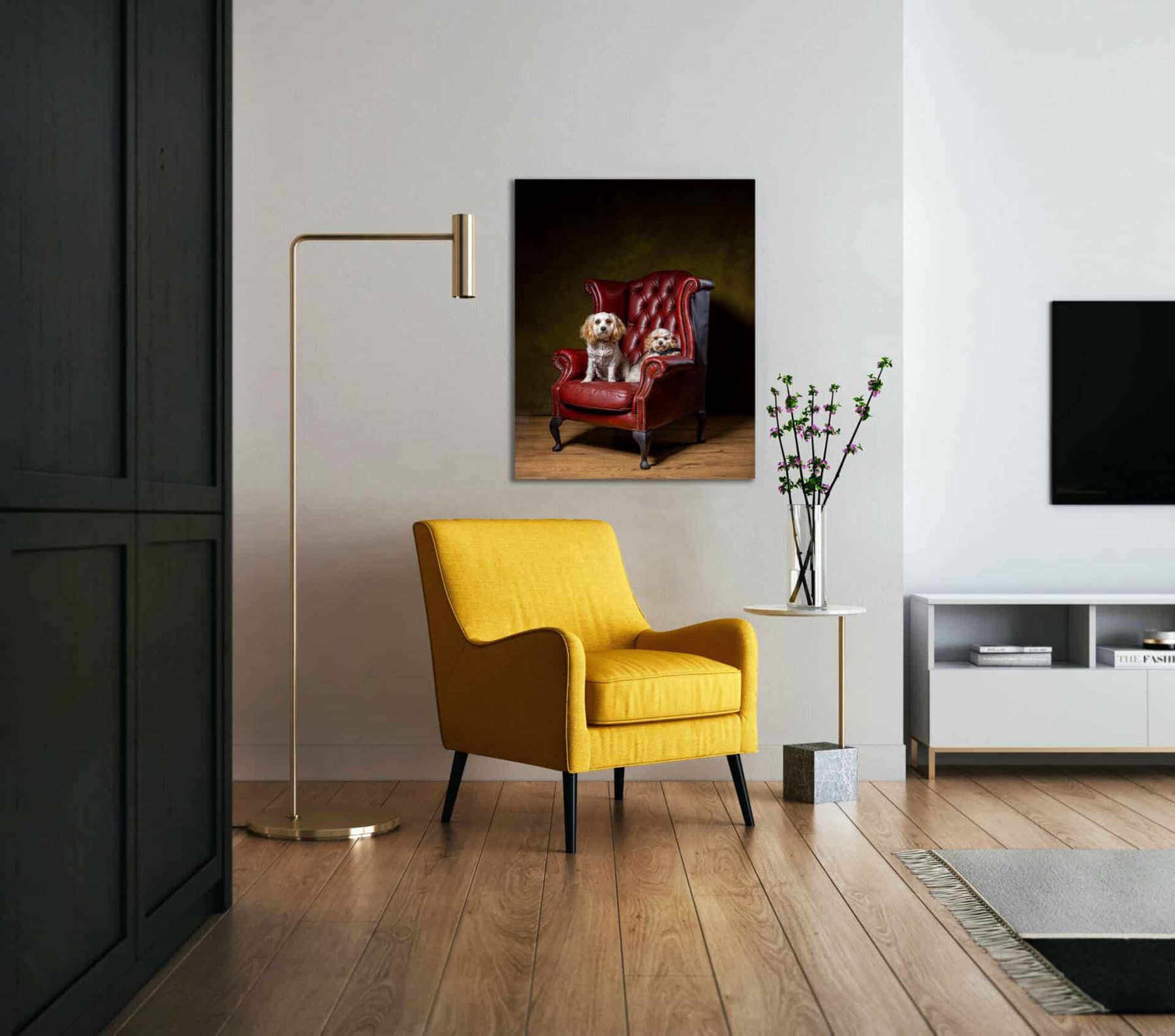 Canvas dog portrait wall art display by Mark Hewitson Photography